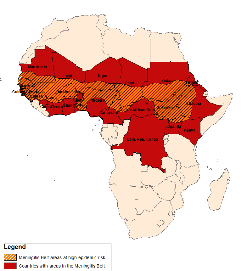 Disease and Gender Gaps in Human Capital Investment: Evidence from Niger’s 1986 Meningitis ...